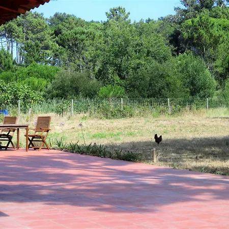 Country House - Azenhas Do Mar